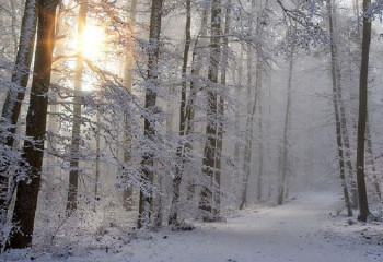 27 желтоқсанда жауын-шашынсыз ауа райы сақталады