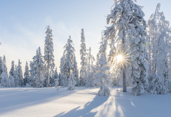 Алдағы 3 күнде ауа райы қандай болады