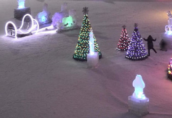 Акмолинка справила нужду у новогодней елки