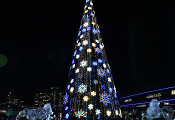 Какая погода ждет казахстанцев в новогоднюю ночь