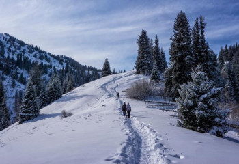 Алматыда 7 адамнан тұратын отбасы жоғалып кетті