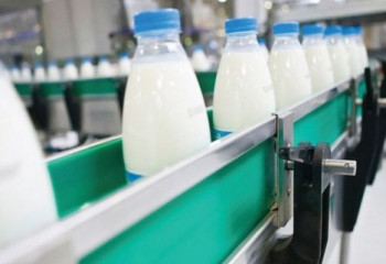 Производство кумыса сократилось в Казахстане