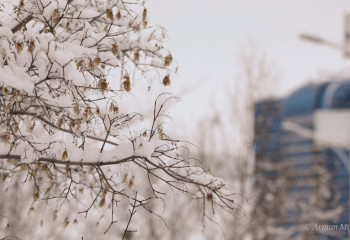 7 қаңтарға арналған ауа райы болжамы