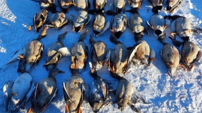  instagram.com/qazfwc 