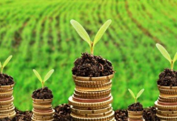 Субсидия алуға өтінім беру 1 ақпаннан басталады