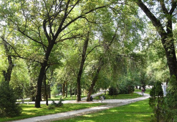 В Алматы разработали правила защиты зеленых насаждений