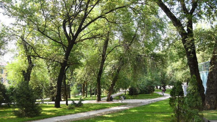  Акимат г. Алматы 