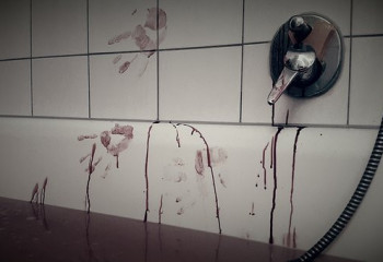 Молодую женщину подозревают в убийстве сожителя в Талдыкоргане