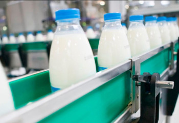 Солтүстік Қазақстанда екі жылда 21 сүт фермасы салынды