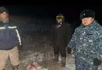 Браконьеров задержали в Жамбылской области