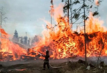 Қостанай облысындағы өрттің шығуына кінәлі адам сотталды
