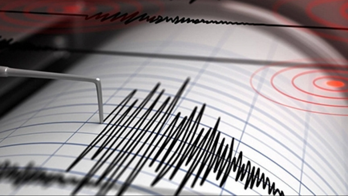  Emergency Department 