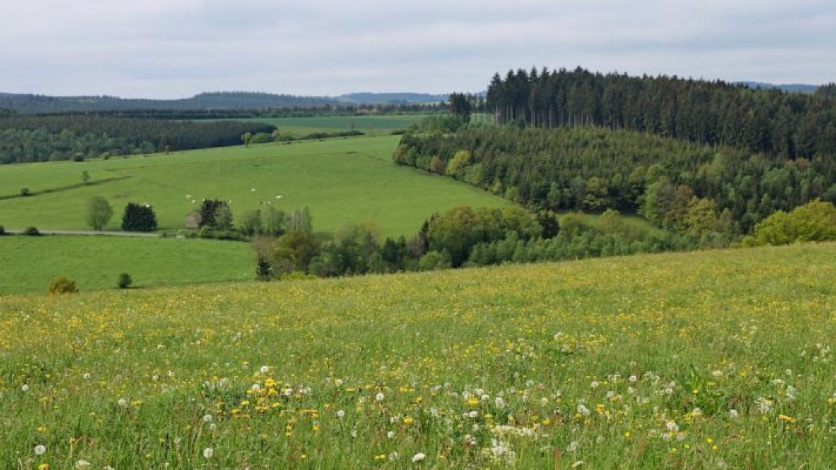 В прошлом году в Казахстане было изъято  5,2 млн га неиспользуемых земель