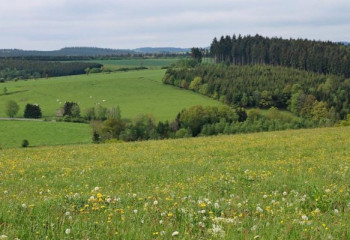 В прошлом году в Казахстане было изъято  5,2 млн га неиспользуемых земель