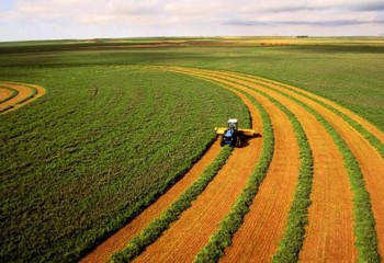 Қайтарылған ауыл шаруашылығы жерлерінің интерактивті картасы іске қосылды