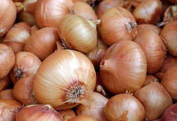 Введен временный запрет на экспорт лука из Казахстана