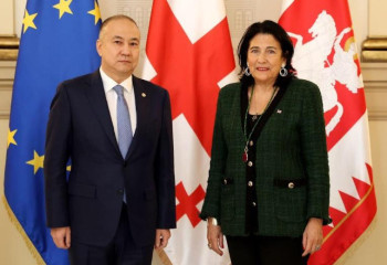 Посол Казахстана вручил верительные грамоты Президенту Грузии