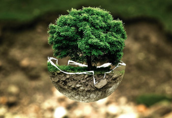 Жер заңнамасын бұзғандар әкімшілік жауапкершілікке тартылады