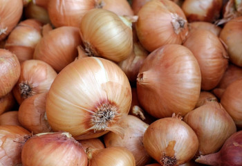 Еліміз пияз экспортына уақытша тыйым салды