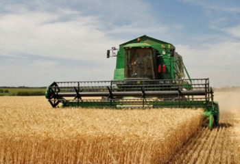 Количество действующих крестьянских хозяйств выросло на 8,7% в Казахстане