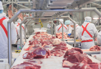 В Семее запустят крупный мясокомбинат