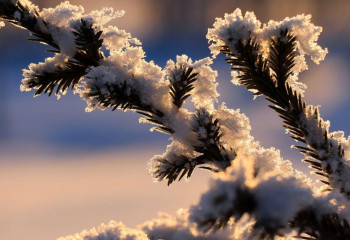 22 қаңтарда елдің басым бөлігінде жауын-шашынсыз ауа райы сақталады