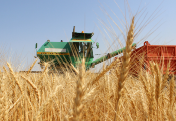 Қазақстан астығының келешегі қазіргіден де жарқын болуы тиіс