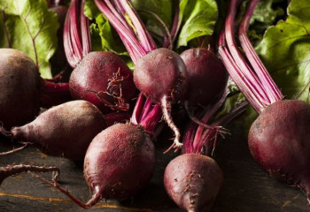 Қант қызылшасы бір жылда 29,8%-ға қымбаттаған