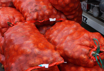 26 овощехранилищ планируют построить в Казахстане до конца года