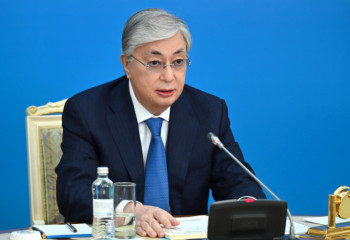 Tokayev receives Kazakh Chess Federation head