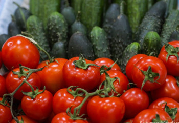 Қазақстанда көкөніс бағасы 19,2% пайызға қымбаттады