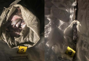 Балқаш көлінде екі браконьер ұсталды