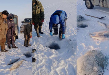 65 кг рыбы изъяли у браконьера в области Жетісу