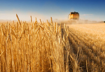 АӨК-ті субсидиялау жүйесінде қандай өзгерістер болды