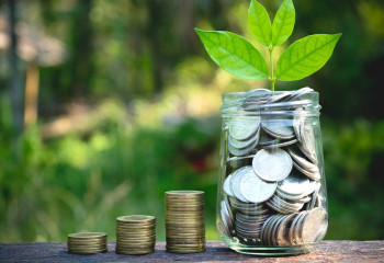 Қаржылық сауаттылық: жинақты қайда және қалай жақсы сақтау керек