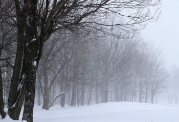 Елдің бес өңірінде дауылды ескерту жарияланды