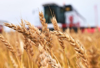 Ақтөбеде 28 ауыл шаруашылығы кооперативі құрылды