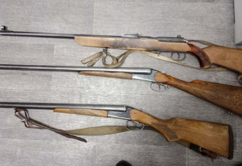 Арсенал оружия изъят у жителя области Жетысу