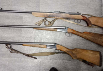 Жетісулық фермерден заңсыз қару-жарақ тәркіленді