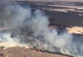 Побережье Каспия горит в Атырауской области
