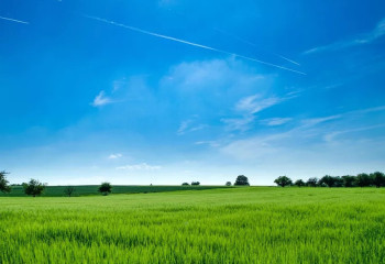 В Актобе затягивали продление сроков аренды земель под бизнес