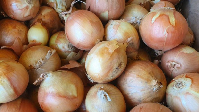  Белновости. 