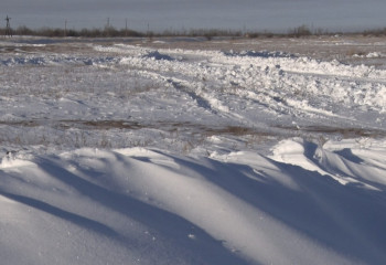 Дефицит снега наблюдается Павлодарской области