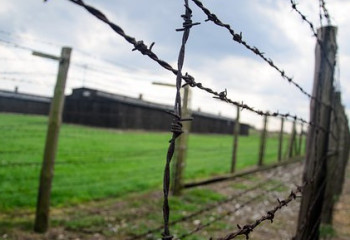 В области Ұлытау работник убил главу крестьянского хозяйства и скрылся на лошади