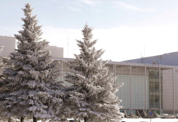 Еліміздің басым бөлігінде қар жауады