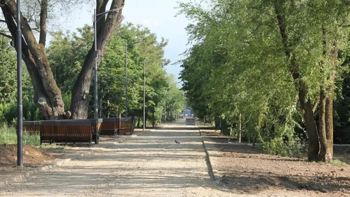  almaty.tv 