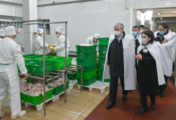 Мемлекет басшысы Мырзатай ауылындағы құс фабрикасының жұмысымен танысты