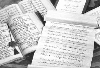 Қолжазбалар жанбайды