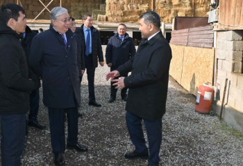 Президент посетил личное подсобное хозяйство сельчанина в Костобе