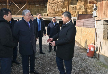 Президент ауыл тұрғынына дәнуатқыш аппаратын сыйға тартты